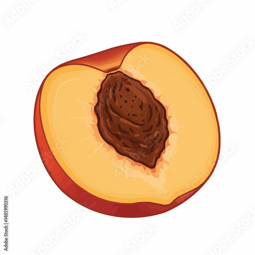 Half cut fruit with a seed inside. Red skin and yellow juicy flesh
