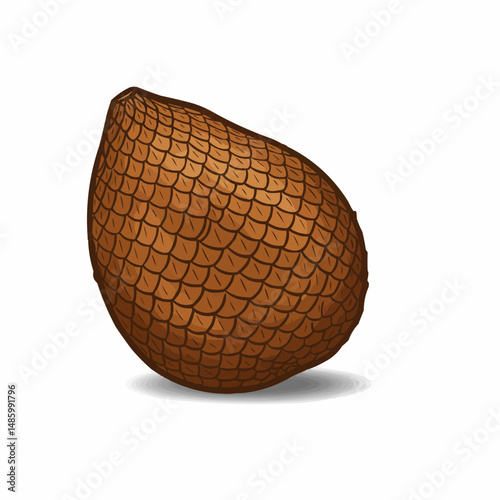 Brown scaled, ovoid fruit with overlapping, spiky segments on an isolated white canvas
