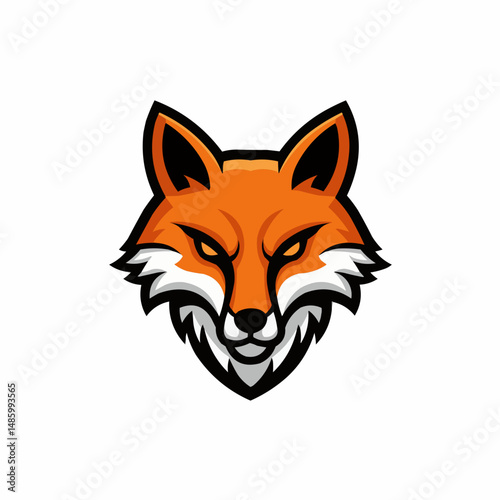 Orange fox with piercing eyes on a white background