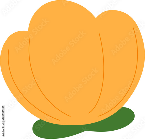 vector illustration of an apple