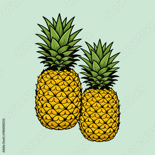 Vektor ilustration pineapple on a green background