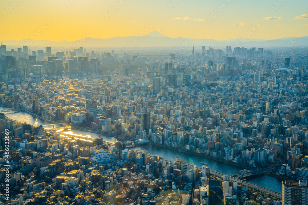 Obraz premium High-resolution photo of Tokyo cityscape taken from the Tokyo Skytree observation deck. Featuring expansive views of the Japanese capital, including skyscrapers, urban sprawl, and Mount Fuji