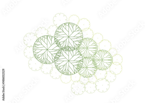 tree top view plant landscape architecture nature garden aerial vector. trees branch isolate collection illustration environment green botany urban bush park. tree architecture conifer decorative.