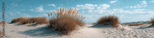A desert scene with a small bush in the foreground. The sky is blue and there are some clouds