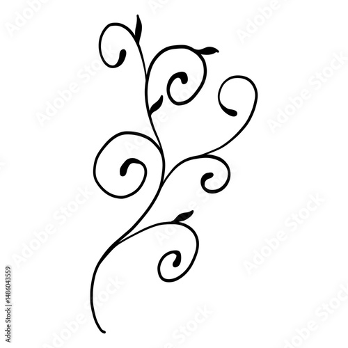 Ornament floral swirling stroke