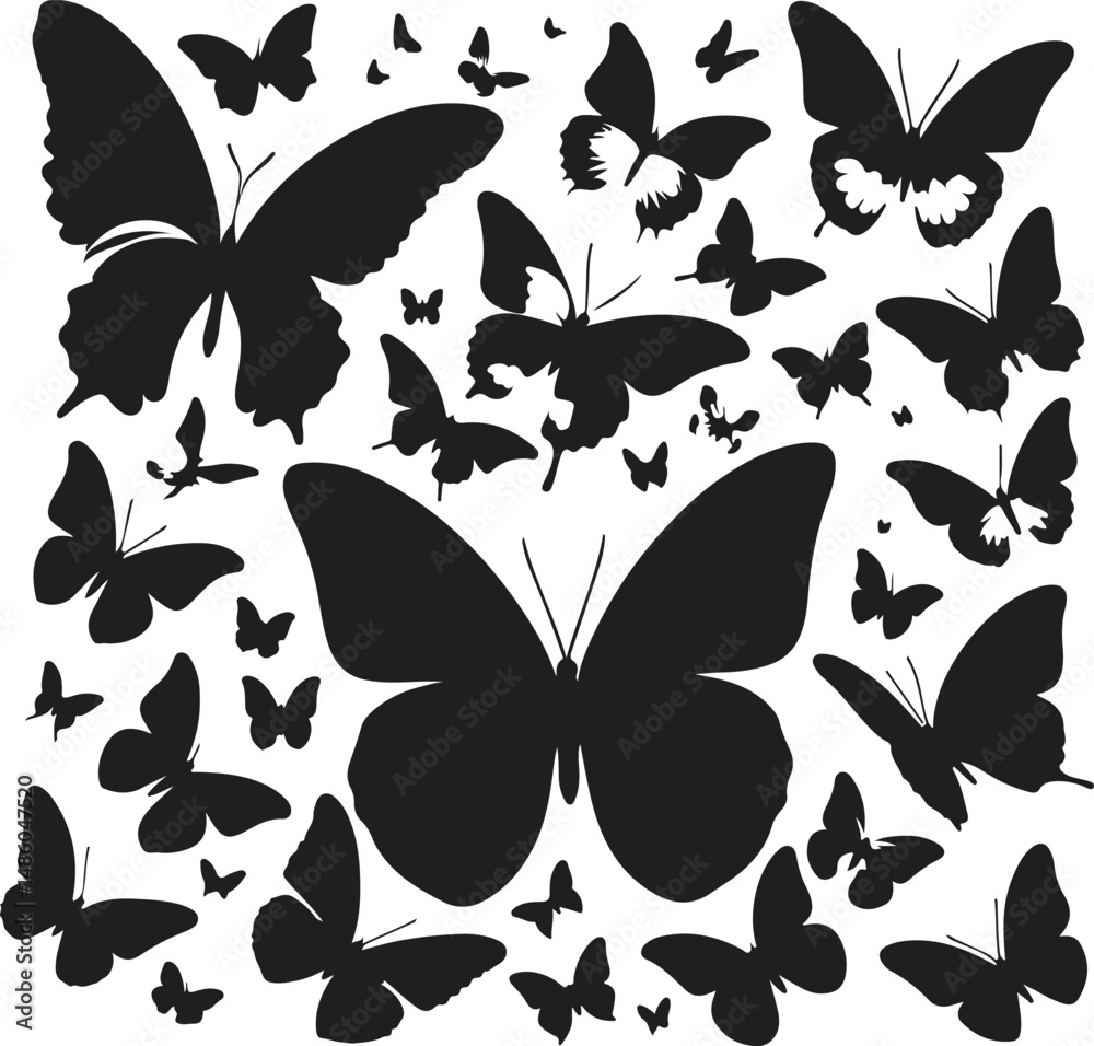 Fototapeta premium Butterfly Silhouette