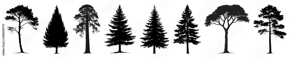 Fototapeta premium PNG Stone pine tree silhouette illustration black., transparent background