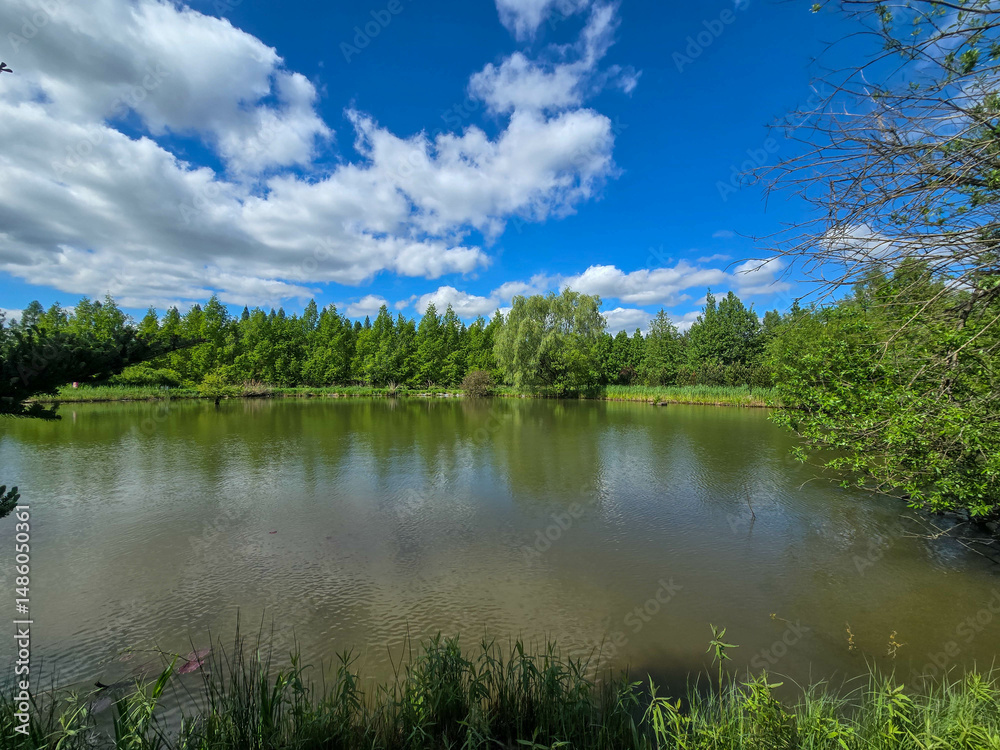 Obraz premium Serene Lake Landscape on a Sunny Day Nature s Tranquility