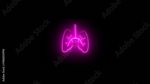 The appearance of the pink neon glowing symbol lungs. neon human body  Lung and kidney icon anatomy animation