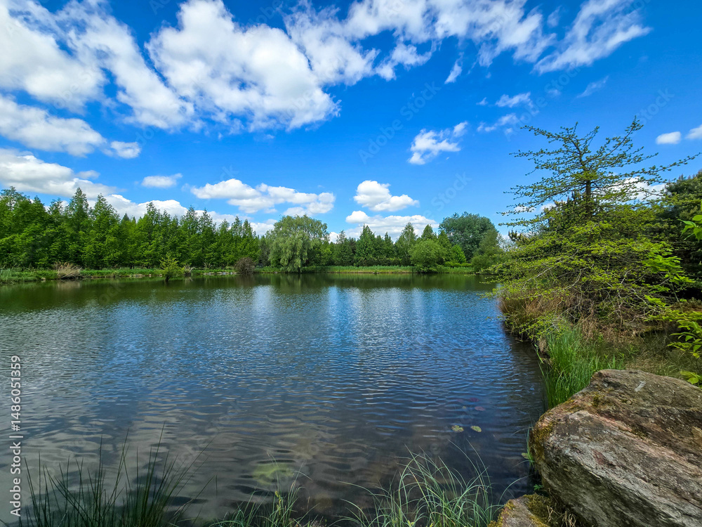 Obraz premium Serene Lake Landscape on a Sunny Day Nature s Tranquility