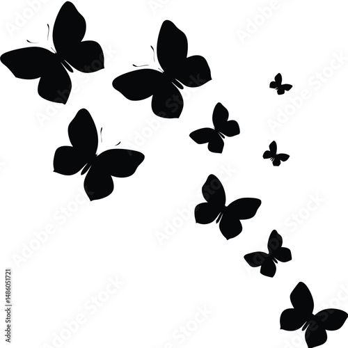 Butterfly Silhouette