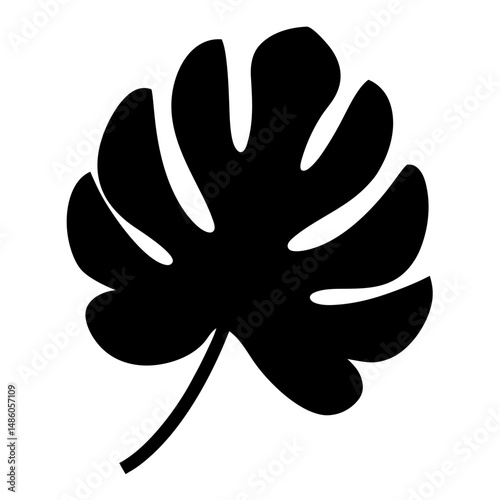 Silhouette of a striking Monstera leaf showcasing its unique fenestrations