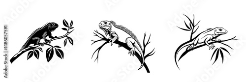 Vector illustration showing three distinct lizards perched on branches in a natural environment with leaves and simplistic details