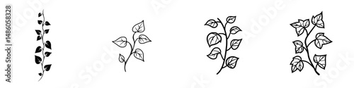 Elegant vector illustrations of climbing plants with detailed leaves and vines designed for decorative purposes in various contexts