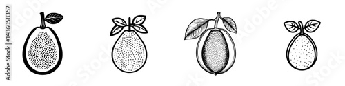 Creative vector illustrations of avocados with distinct shapes and designs suitable for various graphical applications