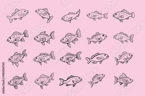 grouper fish logo vector design, labeled line art silhouette illustration.