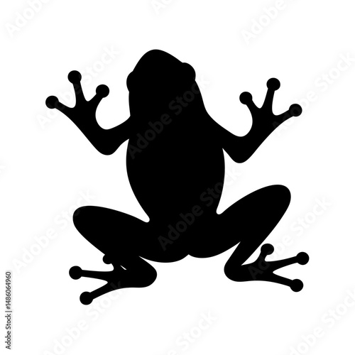 Silhouette of a frog showing its unique features and its webbed feet