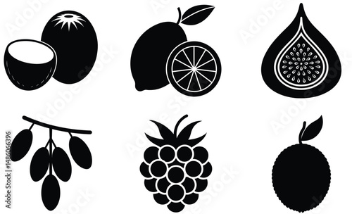 Tropical & Exotic Fruits Combo Set Silhouette – Vector Illustration of Diverse Organic Shapes for Healthy Food, Botanical, Summer, and Culinary Design Projects