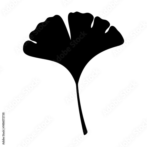 Striking Ginkgo Biloba Leaf Silhouette on White Background, Botanical Art
