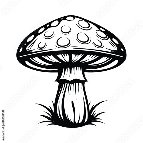 Monochrome Mushroom with Spots, Isolated on White. Tall Stem and Stylized Grass