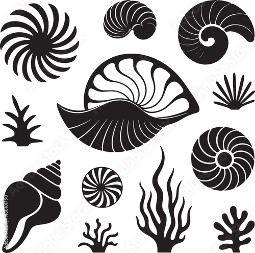 Nautical seashells ocean life coral silhouette art