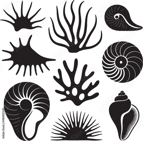 Black silhouettes nautical sea life ocean shells coral