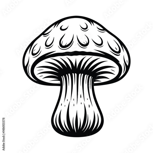 Mushroom Black and White Line Art of Fungi with Ornamental Design