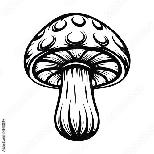 Black and White of a Mushroom with MoonLike Marks in Intricate Detail