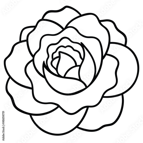 Peony with Layered Petals line art vector