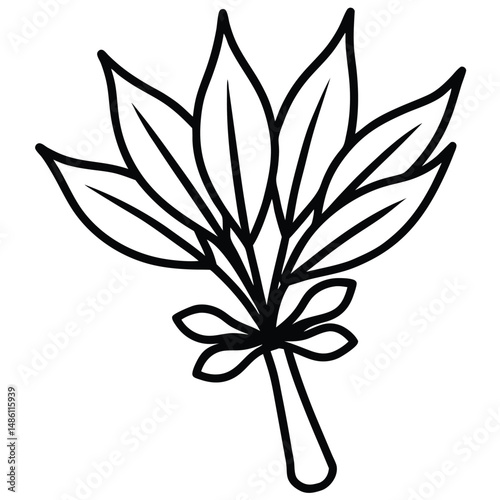Sage Leaves Bundle  line art vector