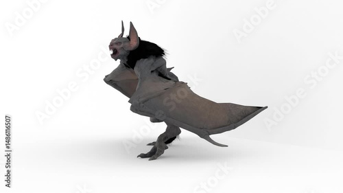 vampire bat on white background