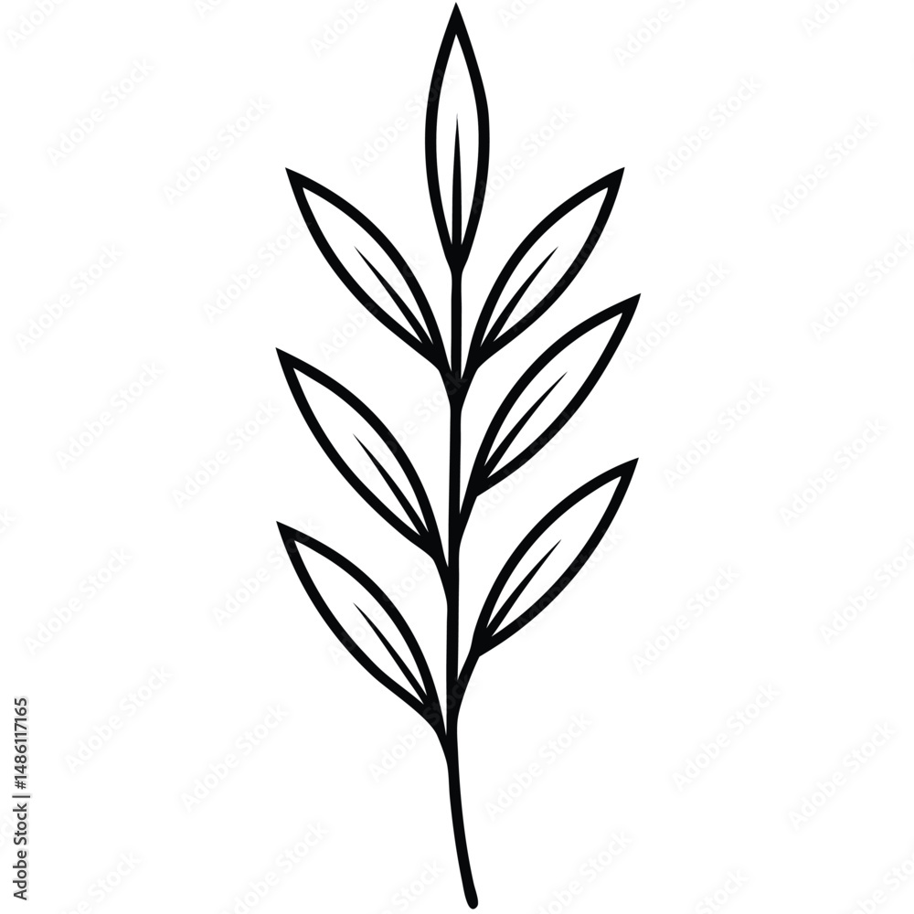 Fototapeta premium Tarragon Leaf Pattern line art vector