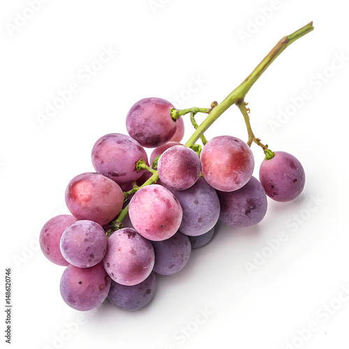 Purple Grape Cluster: A vibrant cluster of ripe purple grapes, showcasing their juicy texture and natural beauty, offering a delightful image of fresh produce and culinary possibilities.