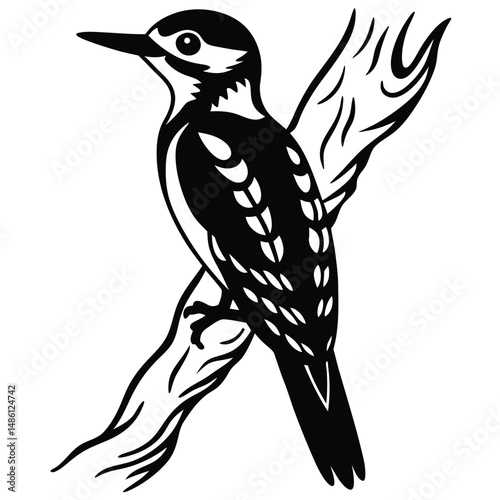 Woodpecker vector silhouette black design white background