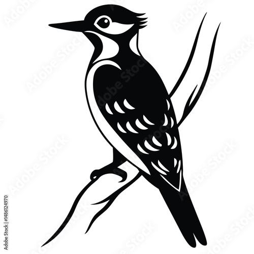 Woodpecker vector silhouette black design white background