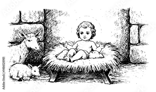 nativity scene with baby jesus lamb and donkey in stable