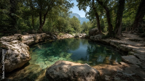 Serene Forest Pool A Tranquil Natural Oasis