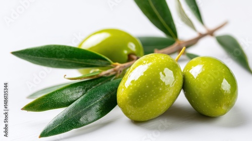 Wallpaper Mural Fresh green olives on branch (2) Torontodigital.ca