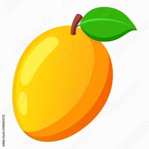 Single Ripe Apricot Fruit with Leaf Illustration