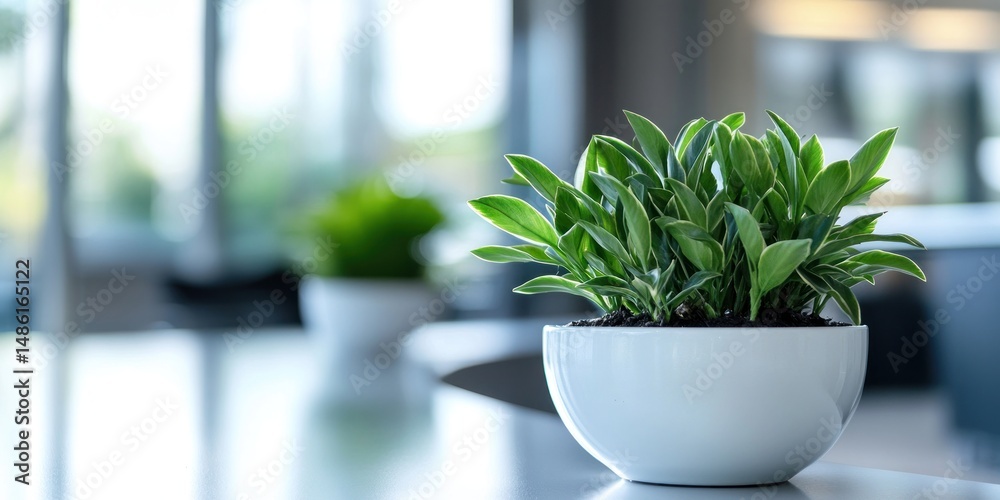 Serene Indoor Plant in Modern Setting: A White Potted Plant on a Table Serene Indoor Plant in Modern Setting: A White Potted Plant on a Table