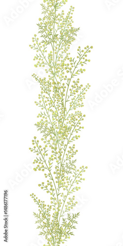 vertical seamless border with wormwood blooming plants herbs