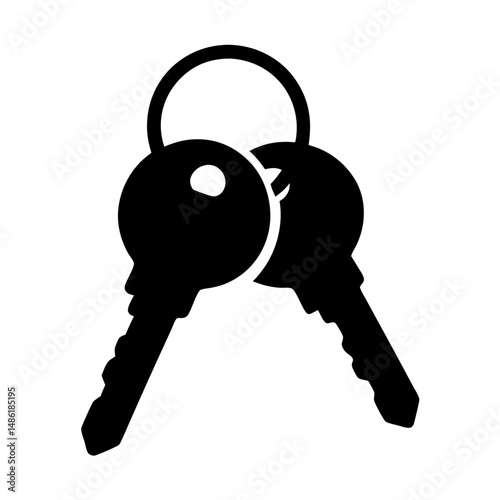 Two keys on a ring, black and white minimalist design, vector style
