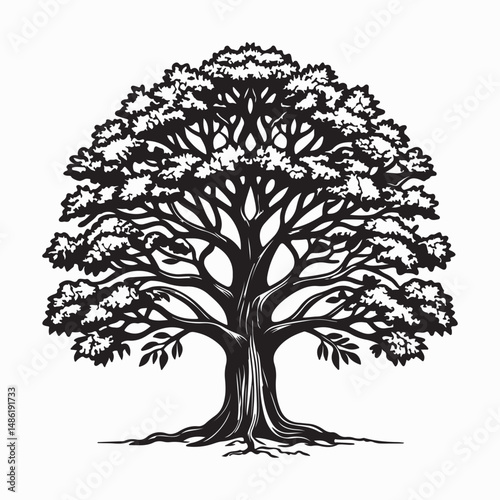 Detailed vector outline of a mature oak tree, showcasing its broad canopy and sturdy trunk.