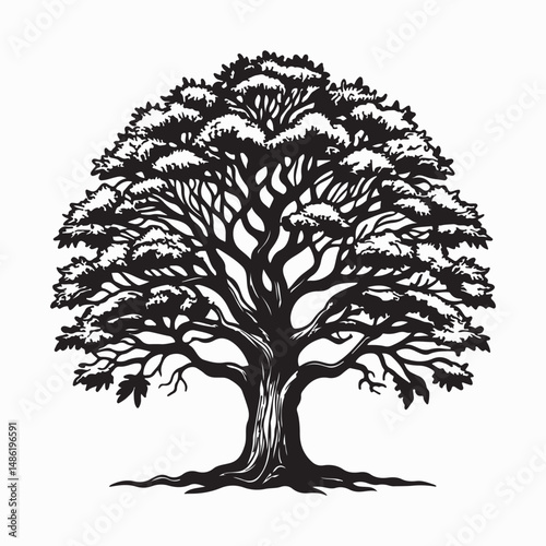 Outline of a large oak tree in vector style, featuring a thick trunk and expansive branches.