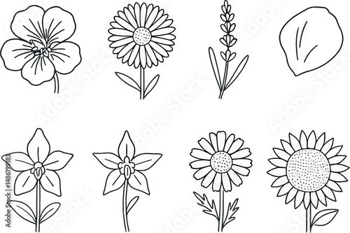 Edible flower line icons set – outline, floral and botanical design elements