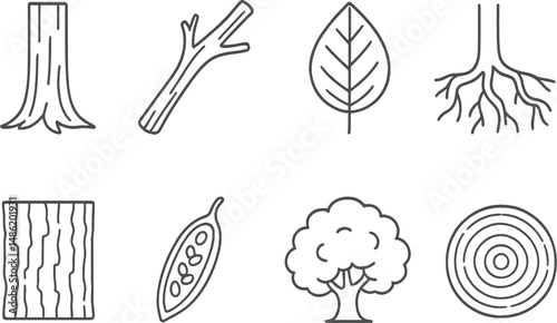 Tree anatomy outline icons set – silhouette, nature and botany symbol elements