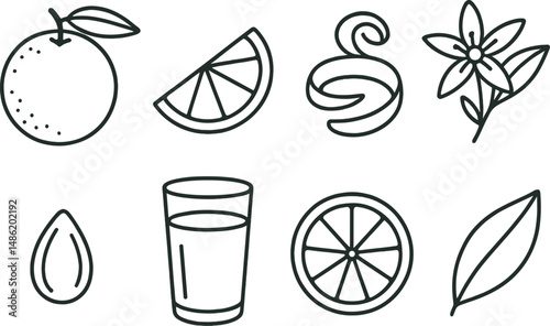 Citrus and botanical outline icons set – simple, plant and fruit symbols