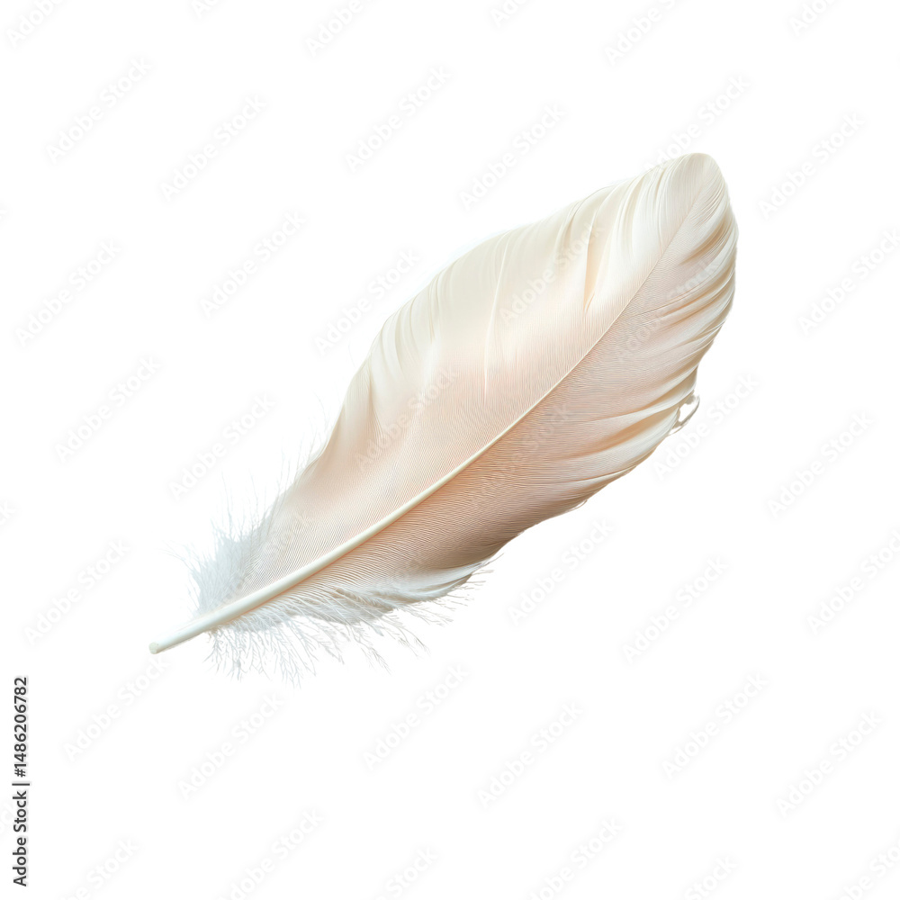 Fototapeta premium Single Delicate Pale Pink Feather Isolated on Transparent Background