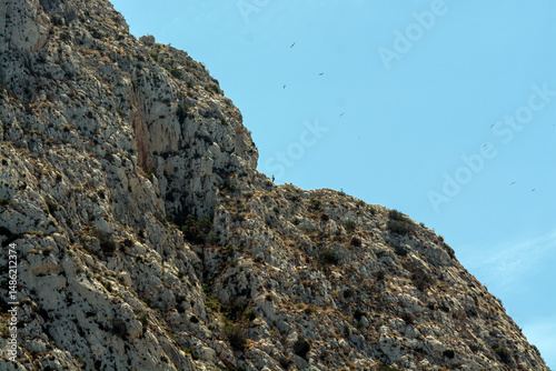 rocks on the beach