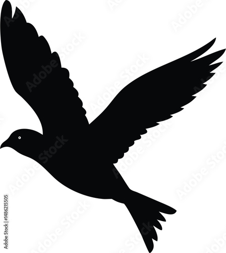 A silhouette of a bird soars against a clean white backdrop with wings spread